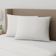AllerEase Organic Cotton Top Allergy Protection Pillow, 2-pack QueenSize