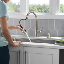 Delta Auburn Pull Down Kitchen Faucet and Soap Dispenser
