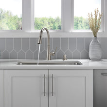 Delta Auburn Pull Down Kitchen Faucet and Soap Dispenser