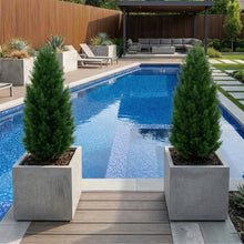 Faux 4’ UV Resistant Cedar Tree Indoor and Outdoor, 2-pack
