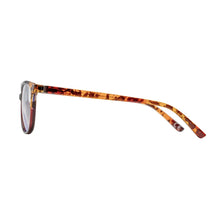 Foster Grant Design Optics Karleen Multifocal Reading Glasses, 2-pack +2.00