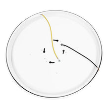 Energetic 14” Slim LED Flush Mount Light Fixture