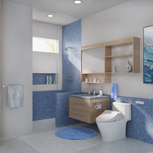 TOTO Washlet Elongated Bidet Seat with SoftClose Lid