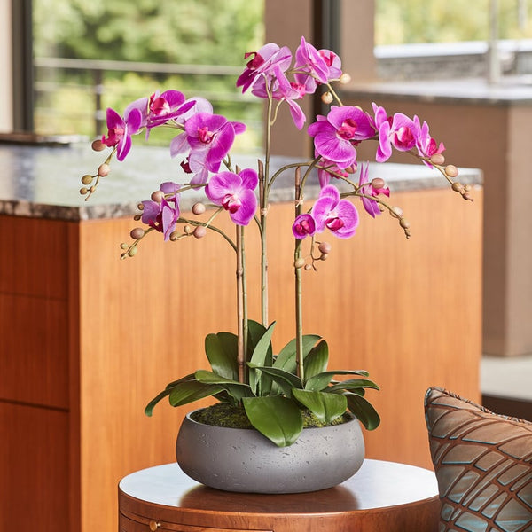 CG Hunter Faux 24" Orchid