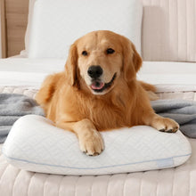 Serenity by Tempur-Pedic Cooling Memory Foam Pillow KS