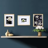 Mikasa Home Accents Gallery Frames, Set of 3