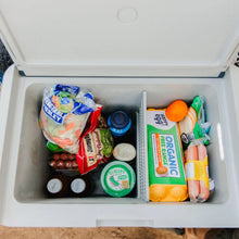 Igloo ICF40 Electric Cooler with Protective Cover