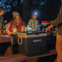 Igloo ICF40 Electric Cooler with Protective Cover