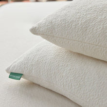 Avocado Organic Pillow with Natural Latex and Kapok Fill_Standard Size