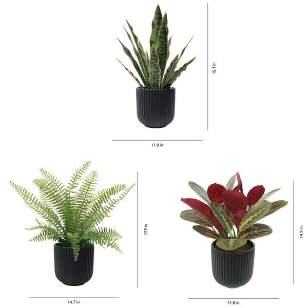 Faux Decorative Plant Trio
