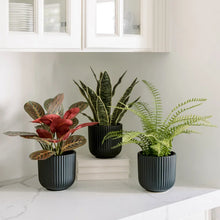 Faux Decorative Plant Trio