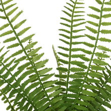 Faux Decorative Plant Trio