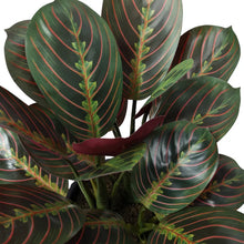 Faux Decorative Plant Trio