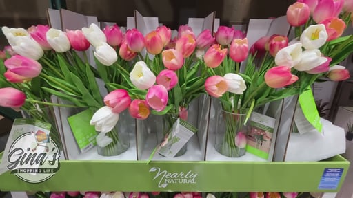 Tulip Arrangement