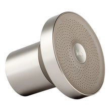 The Jolie Filtered Showerhead Bundle with Replacement Filters Brushed SS