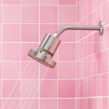 The Jolie Filtered Showerhead Bundle with Replacement Filters Brushed SS