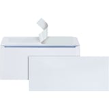 Quality Park #10 Peel & Seal Security Envelope, 500 Count
