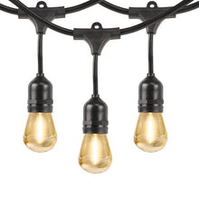 Feit Electric 48' LED String Light